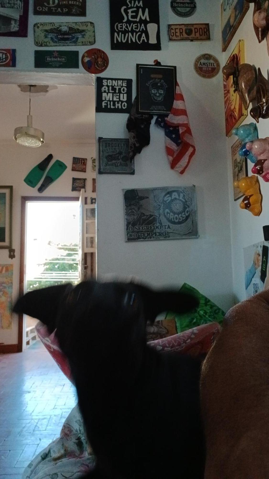 Hostel Jabuticaba Belo Horizonte Kültér fotó