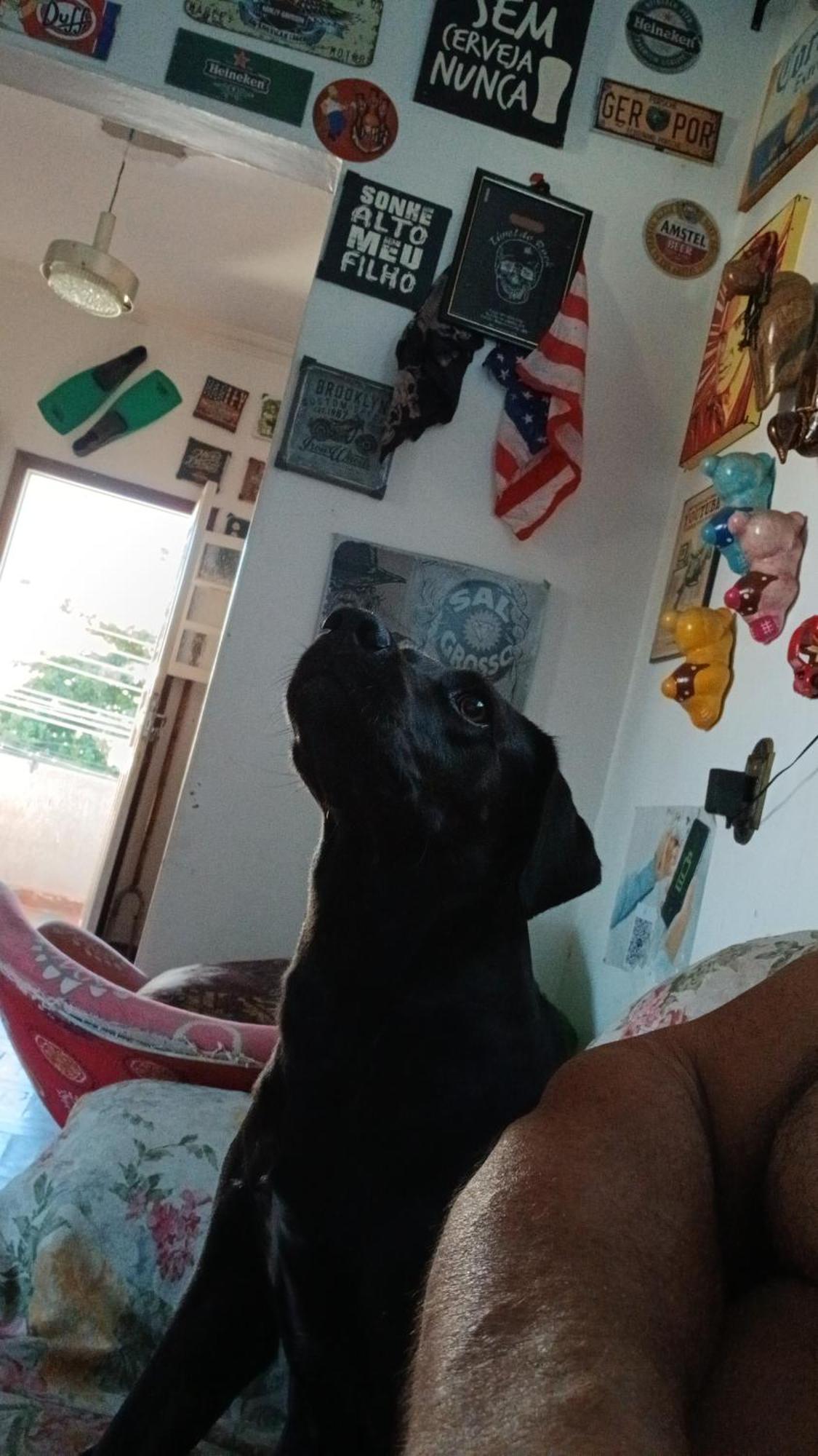 Hostel Jabuticaba Belo Horizonte Kültér fotó