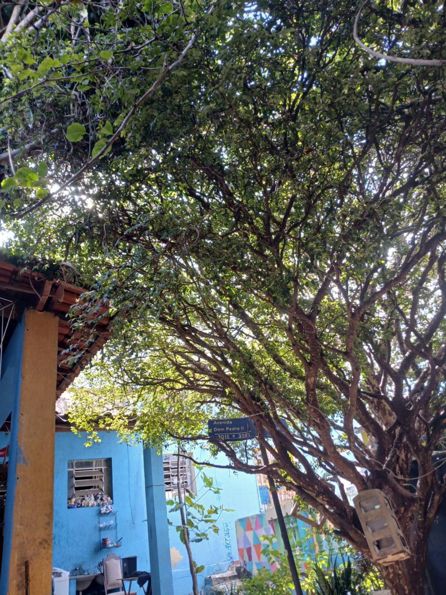 Hostel Jabuticaba Belo Horizonte Kültér fotó